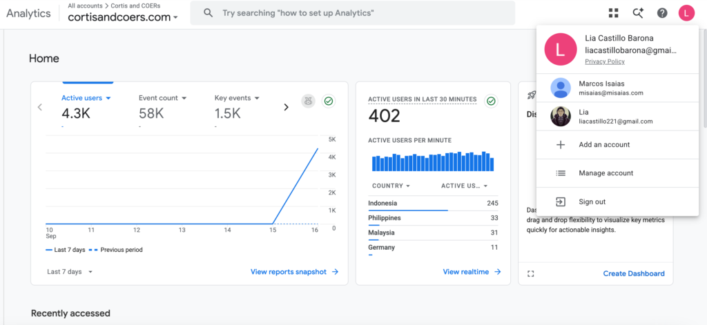 Google analytics dashboard Lia Virginia Castillo Barona
